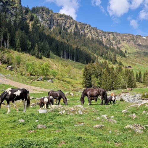 Talschluss Saalbach Hinterglemm Oostenrijk