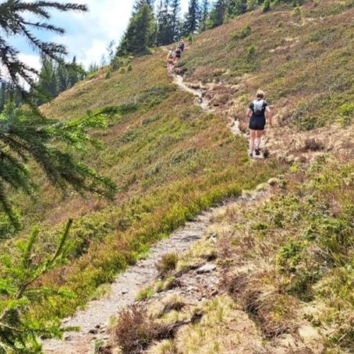 Trails bij Zell am See Oostenrijk